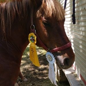 Meet your Posher, Danica